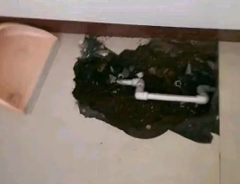志丹卫生间测漏水多少钱